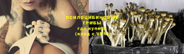 синтетический гашиш Богородицк