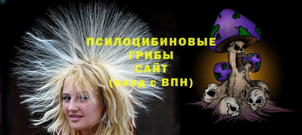 марки lsd Богданович