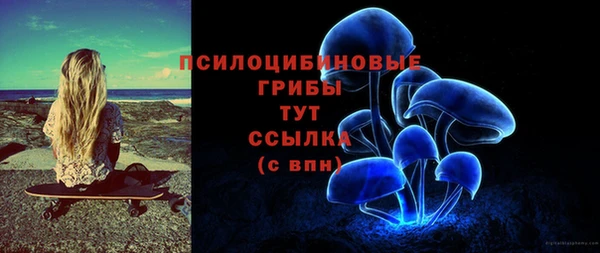синтетический гашиш Богородицк